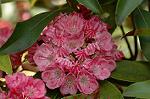 Dcim6909/DSC_3542