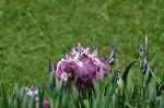 Dcim6910/DSC_3657