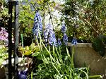 DSC00938