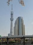 DSC00961