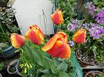 DSC00982