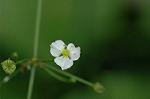 Dcim6922/DSC_3883