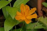 Dcim6922/DSC_3894