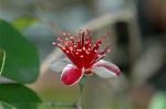 Dcim6922/DSC_3909