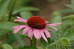 Dcim6922/DSC_3936
