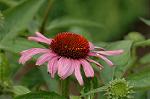 Dcim6922/DSC_3938
