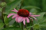 Dcim6922/DSC_3939