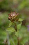 Dcim6922/DSC_4024