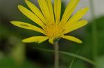 Dcim6923/DSC_4059