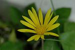 Dcim6923/DSC_4060