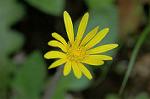 Dcim6923/DSC_4063