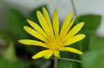 Dcim6923/DSC_4067