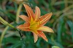 Dcim6923/DSC_4079