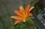 Dcim6923/DSC_4082