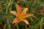 Dcim6923/DSC_4083