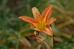 Dcim6923/DSC_4090