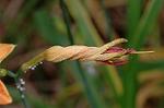 Dcim6923/DSC_4092