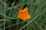 Dcim6923/DSC_4116