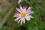 Dcim6923/DSC_4176