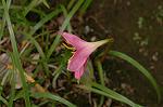 Dcim6924/DSC_4279