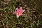 Dcim6924/DSC_4282
