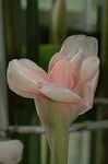 Dcim6924/DSC_4367