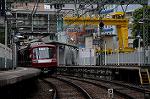 Dcim6926/DSC_2756