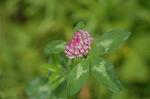 Dcim6927/DSC_4405