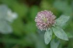 Dcim6927/DSC_4406