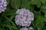 Dcim6927/DSC_4448