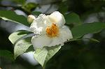 Dcim6927/DSC_4480