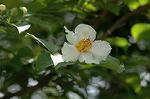 Dcim6927/DSC_4482