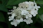 Dcim6928/DSC_4569
