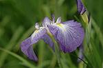 Dcim6928/DSC_4581