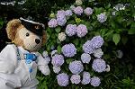 Dcim6929/DSC_2846