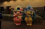 Dcim6933/DSC_3338