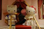Dcim6937/DSC_3920