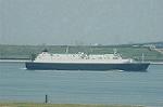 Dcim6940/DSC_4913
