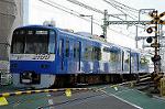 Dcim6942/DSC_3993