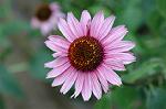 Dcim6945/DSC_5226