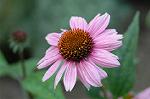 Dcim6945/DSC_5228