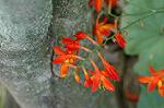 Dcim6945/DSC_5235