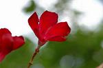 Dcim6945/DSC_5243