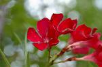 Dcim6945/DSC_5246