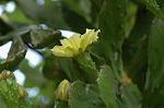 Dcim6945/DSC_5254