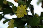 Dcim6945/DSC_5255