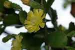 Dcim6945/DSC_5256