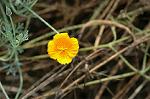 Dcim6945/DSC_5280