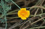 Dcim6945/DSC_5282