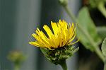 Dcim6945/DSC_5336